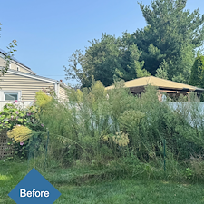 A-Fresh-Start-Planting-Landscape-Design-in-Stratford-CT 8
